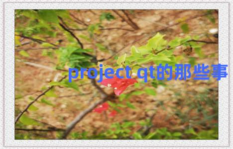 project qt的那些事